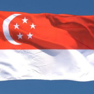 Singapore Imposes 180-day Renewal Deadline for Permanent Residents 2 image 110