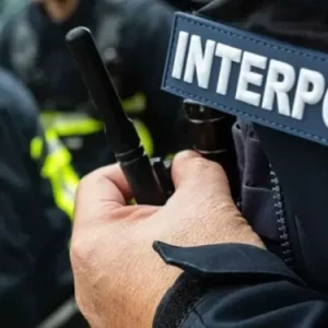INTERPOL Arrests Suspects Linked to $562 million Crypto Ponzi Scheme in Nigeria 3 image 12