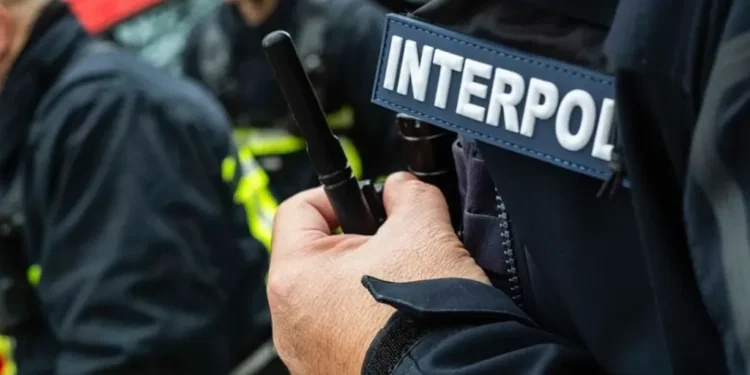 INTERPOL Arrests Suspects Linked to $562 million Crypto Ponzi Scheme in Nigeria 1 image 12