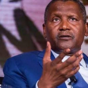 Dangote to Invest $1 billion in Zimbabwe’s Cement, Coal, and Power Sector 2 image 158