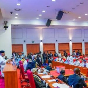 Nigerian Senate Confirms 6 New RMAFC Commissioners Amid Push for Revenue Reform 3 image 159