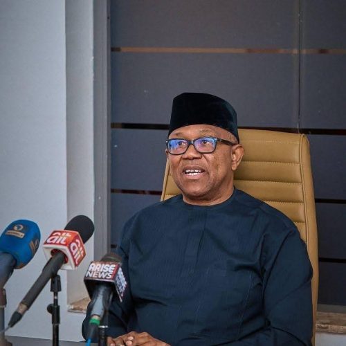 Read more about the article Mr. Peter Obi’s Reckless Rhetoric: Trading Fair Play for Ethnic Fire in Lagos, By Timothy Odedina