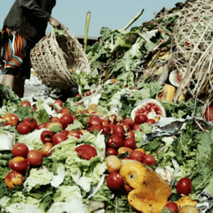 post harvest losses