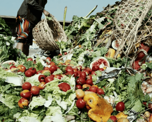 Read more about the article How Two Female Innovators are Reducing N3.5trn Food Waste
