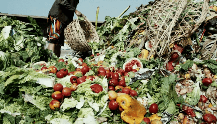 You are currently viewing How Two Female Innovators are Reducing N3.5trn Food Waste