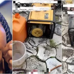 2d58c50f f15f 41f2 9282 a0fcc6c83ee3.jpeg