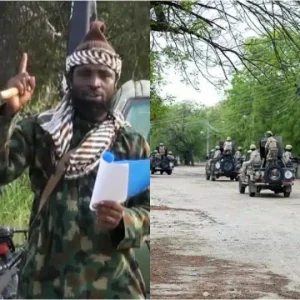 52d938ec ac43 4df5 a989 0c4b9e3b3b69.jpeg