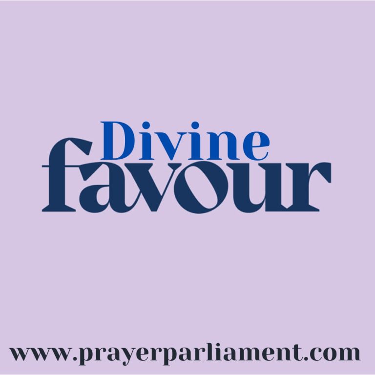 DIVINE FAVOUR prayer parliament 768x768 1