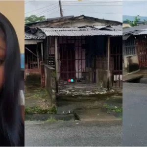 FotoJet 2025 11 15T114408.174.jpg