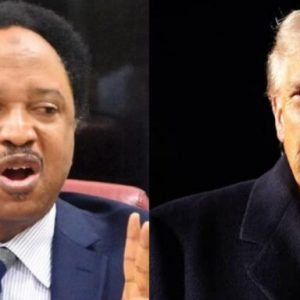 GridArt 20251110 103526714 768x384 1