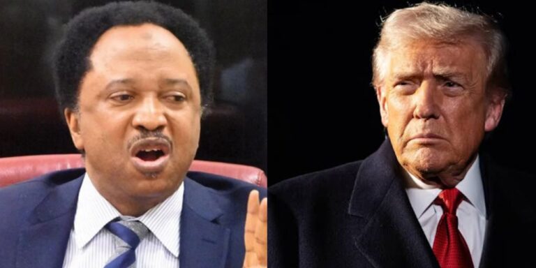 GridArt 20251110 103526714 768x384 1