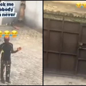 GridArt 20251110 154706808.jpg