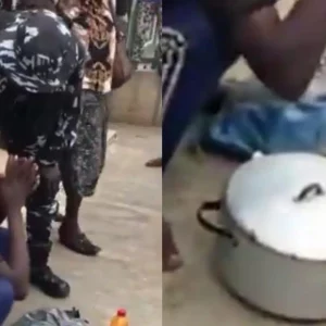 GridArt 20251111 063402106 1920x960.jpg