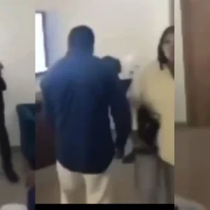 GridArt 20251115 141441341 1920x960.jpg