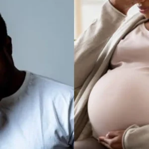 GridArt 20251116 085215252 1.jpg