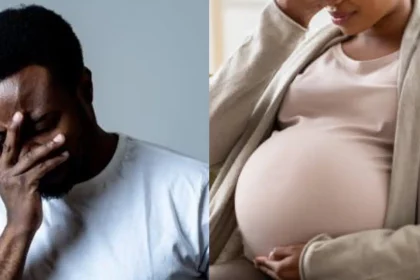 GridArt 20251116 085215252 1.jpg