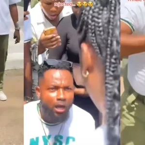 GridArt 20251116 091836716.jpg