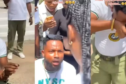 GridArt 20251116 091836716.jpg