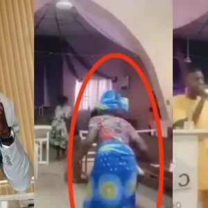 GridArt 20251119 101640210.jpg