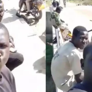 GridArt 20251119 163650854 1920x960.jpg