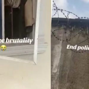 GridArt 20251121 102230701 768x384 1