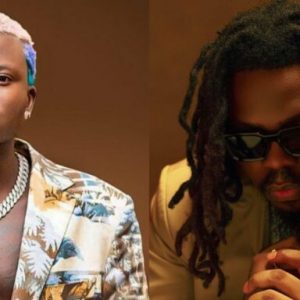 GridArt 20251124 123731196 1 768x384 1