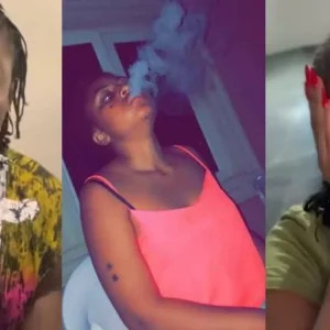 InCollage 20251107 103221397 1773x960.jpg