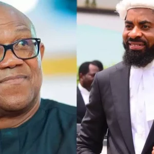 InCollage 20251110 101519275 1773x960.jpg