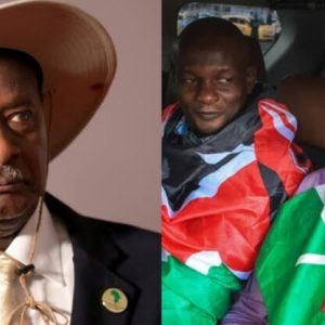 InCollage 20251110 122456610 768x416 1