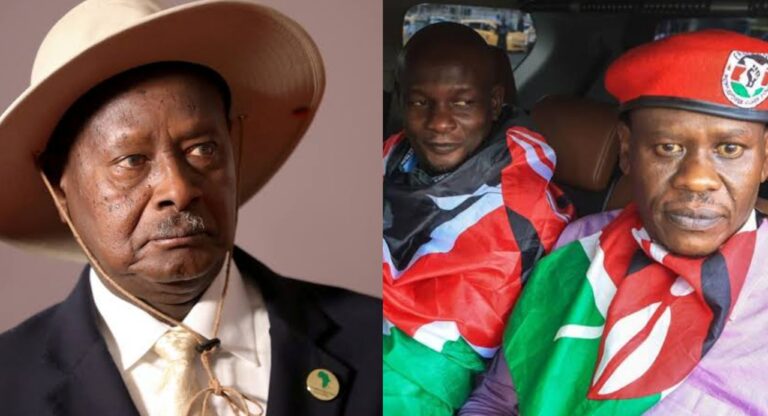 InCollage 20251110 122456610 768x416 1