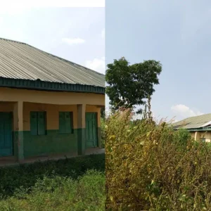 InCollage 20251113 092321609 1773x960.jpg