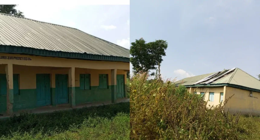 InCollage 20251113 092321609 1773x960.jpg