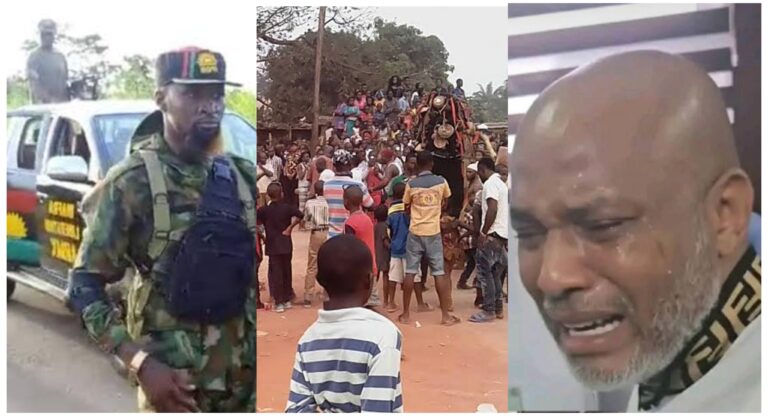 InCollage 20251121 105511603 768x416 1