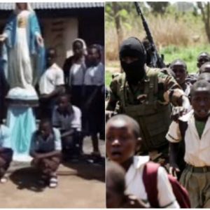 InCollage 20251121 165755678 768x416 1