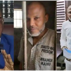 InCollage 20251124 111017064 768x416 1