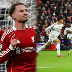 InShot 20251104 231038947 scaled.jpg