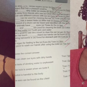 PhotoGrid Plus 1762624668442 1838x960.jpg