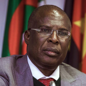 Timipre Sylva3 e1663943262645