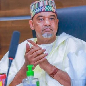 Umar Damagum the acting national chairman of PDP e1732618873515