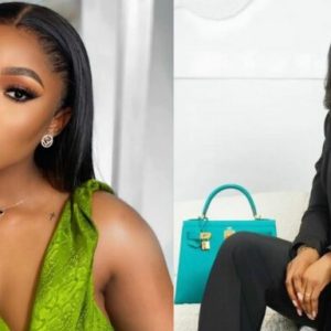 Untitled design 2025 11 24T182157.101 768x384 1