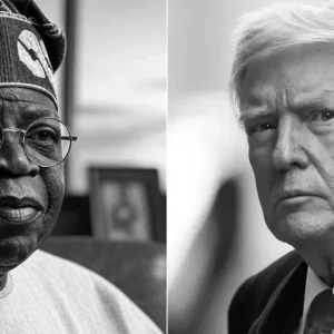 WhatsApp Image 2025 03 03 at 20.11.18