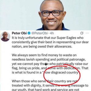 WhatsApp Image 2025 11 12 at 10.36.52 PM