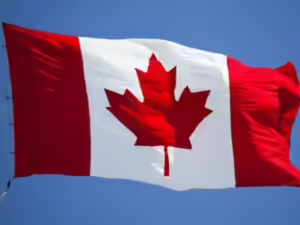 untitled design 52.jpg