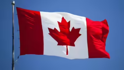 untitled design 52.jpg