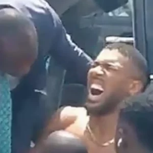 105079991 0 image m 22 1767013439931 1767082399