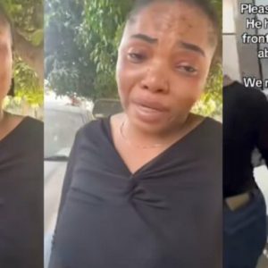 GridArt 20251213 074257025 768x384 1