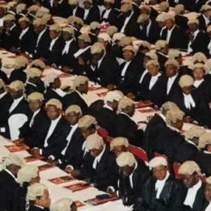 Lawyers e1717477956706 750x375 1