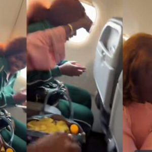 PhotoGrid Plus 1764963599271 768x401 1