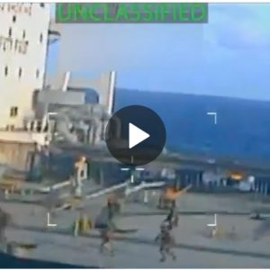 Screenshot 11 12 2025 8173 www.theguardian.com