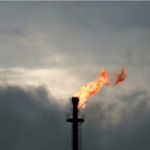 Screenshot 30 12 2025 71544 www.reuters.com